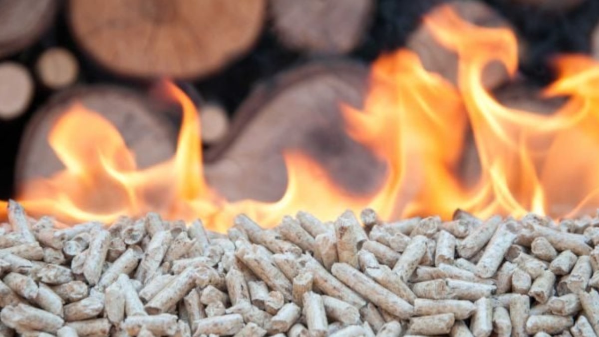 Tipos de combustible para calderas de biomasa